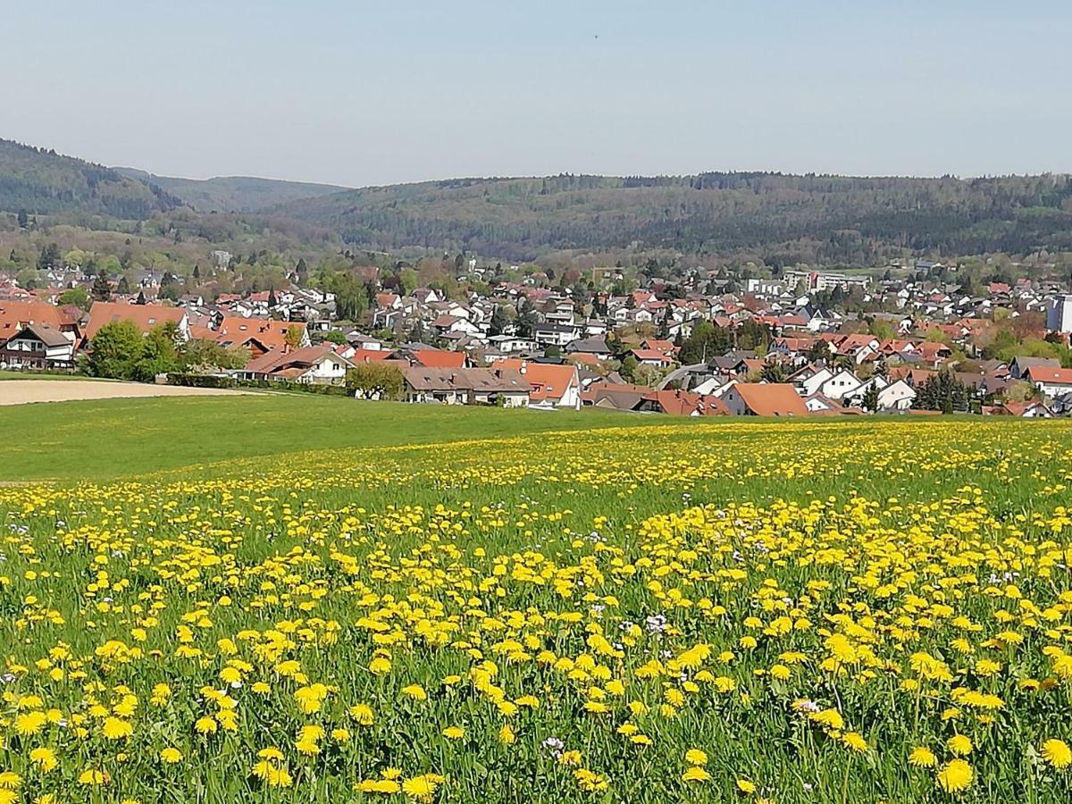 Annettes Ferienwohnung Michelstadt Zewnętrze zdjęcie