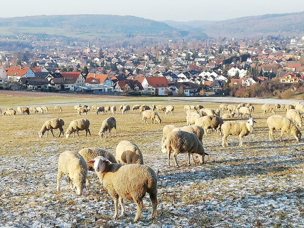 Annettes Ferienwohnung Michelstadt Zewnętrze zdjęcie